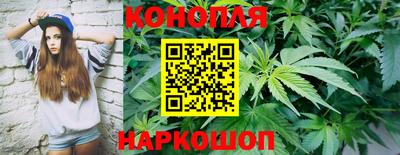 гидропоника Ставрополь