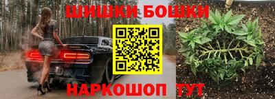 гидропоника Ставрополь