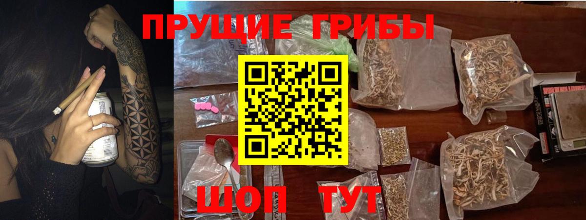 Псилоцибиновые грибы Psilocybine cubensis Наро-Фоминск
